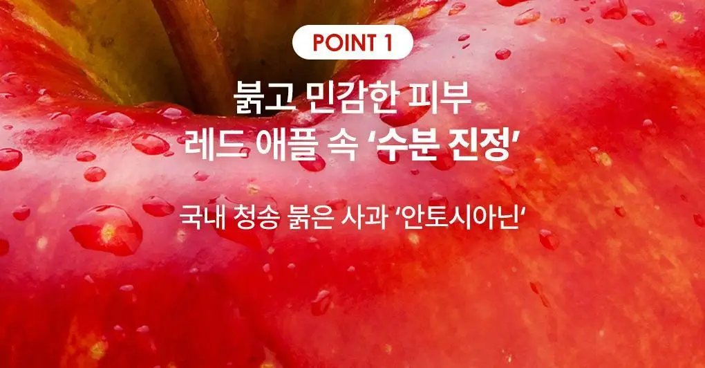 [NEW] rdrd 레드 애플 락토 진정 세럼 30ml 상세페이지 4